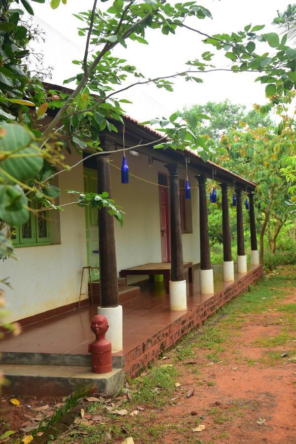 KālapettaiParadise Quest Nature Farmhouse别墅 外观 照片