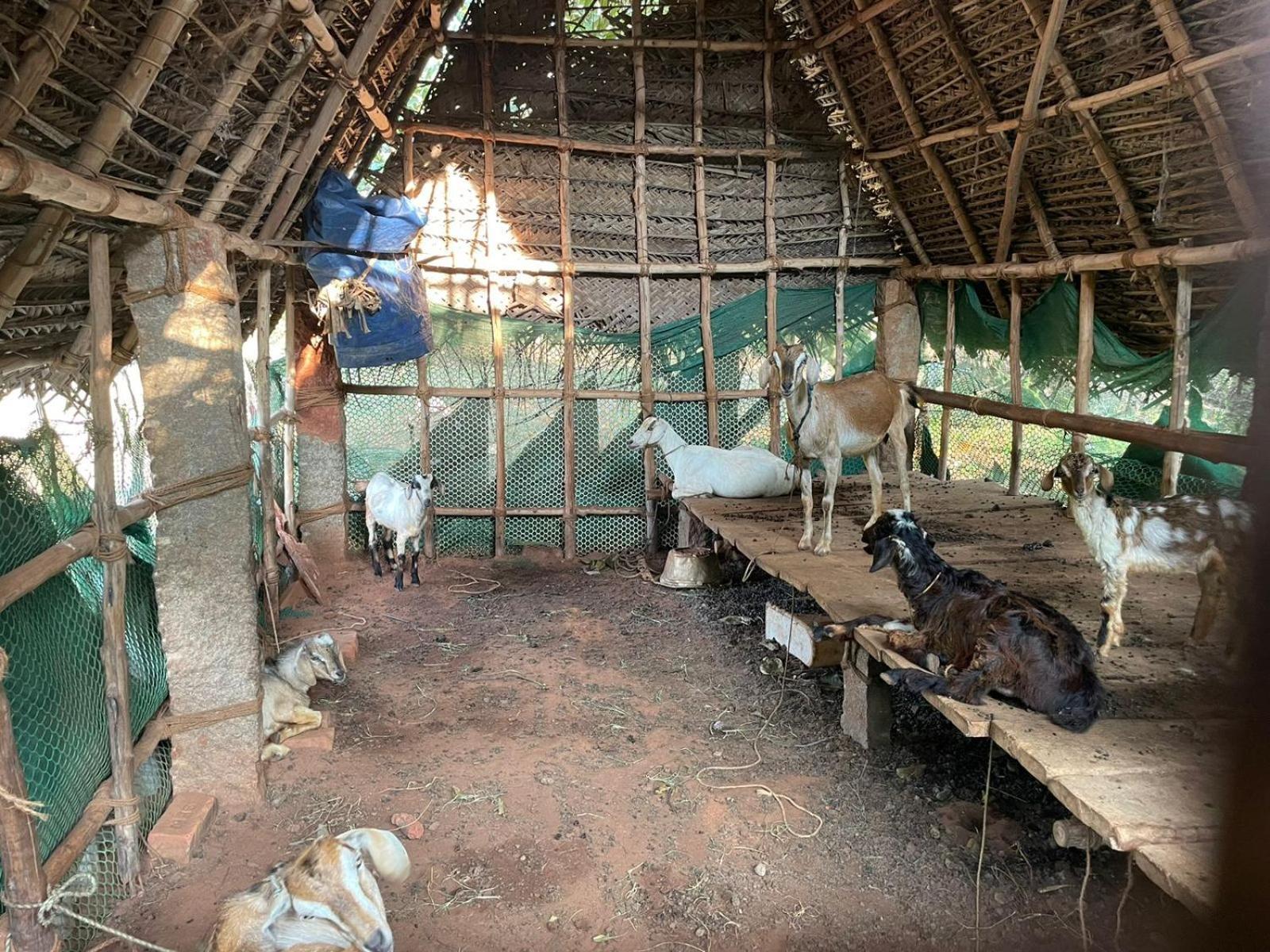 KālapettaiParadise Quest Nature Farmhouse别墅 外观 照片